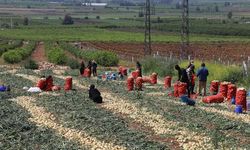 Çukurovalı çiftçiler için yeni teklif