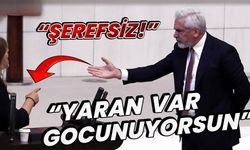 DEM Parti ve AKP sıraları ayaklandı! Küfürler havada uçuştu! 'Bir sus, şerefsiz'