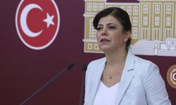 Meral Danış Beştaş’tan çıplak arama önergesi