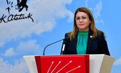 CHP’de Gülizar Biçer Karaca’nın yerine geçen isim belli oldu