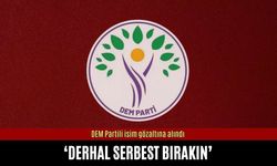 DEM Partili isim gözaltına alındı