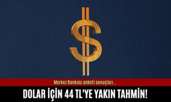Dolar için 44 TL'ye yakın tahmin!
