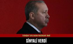 Erdoğan 'cılız sesler kesilecek' dedi