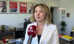 Gül Çiftci: Saray devleti suç örgütü gibi kullanıyor