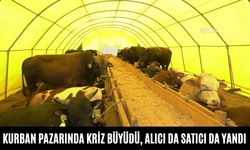 Kurban pazarında kriz büyüdü, alıcı da satıcı da yandı
