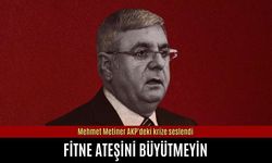 Mehmet Metiner AKP'deki krize seslendi: Fitne ateşini büyütmeyin