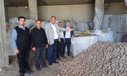 Türkiye'nin nur topu gibi yeni krizi oldu: Patates!