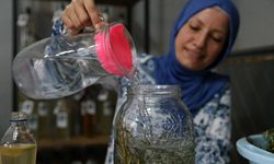 Papatya değil elma sirkesi değil! Uzmanlar vücudu temizleyen gerçek içeceği açıkladı