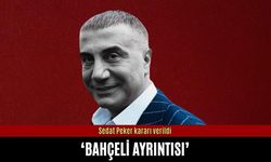 Sedat Peker kararı verildi