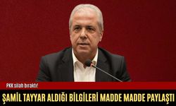 PKK silah bıraktı! Şamil Tayyar aldığı bilgileri madde madde paylaştı