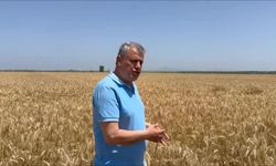 Sarı altın açıklaması: Kilosu 20 TL olmalı