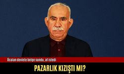 Öcalan devlete belge sundu, af istedi