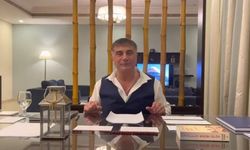 Sedat Peker geleceğini açıkladı