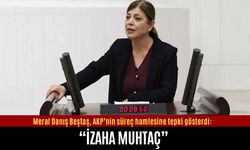 Meral Danış Beştaş AKP’nin süreç hamlesine “izaha muhtaç” dedi