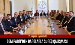 DEM Parti barolarla süreç çalışmalarına başladı