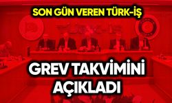 Son gün veren Türk-İş grev takvimini açıkladı