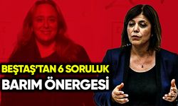 Meral Danış Beştaş’tan 6 tane Ayşe Barım sorusu