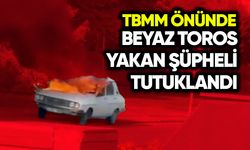 TBMM önünde beyaz Toros yakan kişi tutuklandı