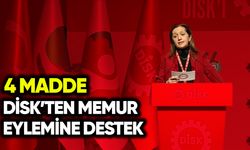 DİSK’ten memur eylemine destek: 4 madde