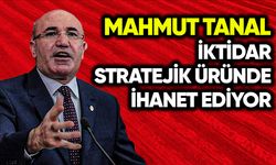 Mahmut Tanal: İktidar, stratejik üründe ihanet ediyor