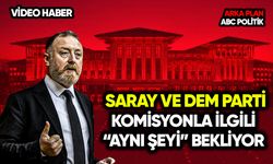 Saray ve DEM Parti komisyondan "aynı şeyi" bekliyor