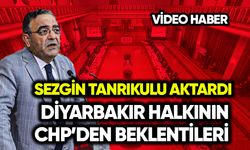 Sezgin Tanrıkulu Diyarbakırlıların CHP’den beklentilerini aktardı