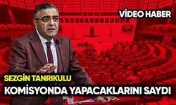 Sezgin Tanrıkulu komisyonda yapacaklarını anlattı