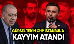 Gürsel Tekin CHP İstanbul'a kayyım atandı