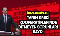 İnan Akgün Alp, Tarım Kredi Kooperatiflerinde bitmeyen sorunları saydı