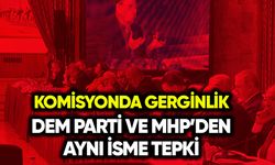 DEM Parti ve MHP’den komisyonda aynı isme tepki