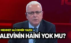 Alevinin Haini Yok mu?