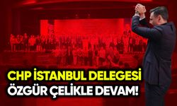CHP İstanbul delegesi: Özgür Çelikle devam!