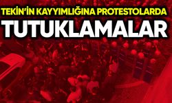 Tekin’in kayyımlığına protestolarda tutuklamalar