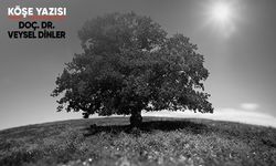 Her Ağacın Kurdu Kendinden Olur