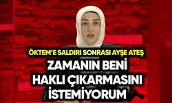 Öktem’e saldırı sonrası Ayşe Ateş: Zamanın beni haklı çıkarmasını istemiyorum