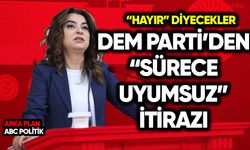 DEM Parti’den “süreçle uyumsuz” itirazı: “Hayır” diyecekler