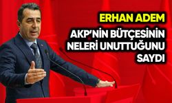 Erhan Adem, AKP’nin bütçesinin neleri unuttuğunu saydı