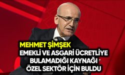 Mehmet Şimşek, emekli ve işçiye bulamadığı kaynağı özel sektöre buldu