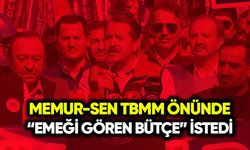 Memur-Sen TBMM önünde “emeği gören bütçe” istedi