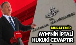 Murat Emir: AYM’nin iptali hukuki cevaptır