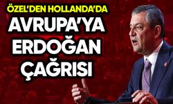Özel’den Hollanda’da Avrupa’ya Erdoğan çağrısı