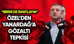 Özel’den Yanardağ’a gözaltı tepkisi: Birini de ispatlayın