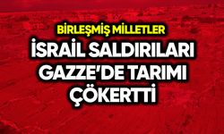 İsrail saldırıları Gazze’deki tarımı çökertti