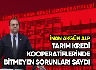 İnan Akgün Alp, Tarım Kredi Kooperatiflerinde bitmeyen sorunları saydı
