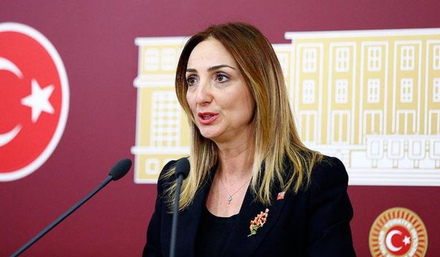 Aylin Nazlıaka'dan “ev kadınlarına müjde” tepkisi: Her ay kim karşılayacak?