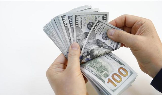 TSKB Başekonomisti dolardaki senaryoları anlattı! Dolar neyi fiyatlıyor