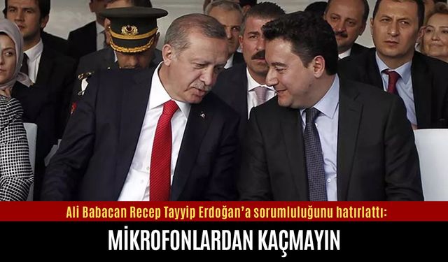 Ali Babacan Erdoğan’a sorumluluğunu hatırlattı