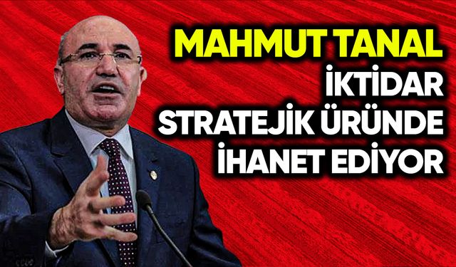 Mahmut Tanal: İktidar, stratejik üründe ihanet ediyor
