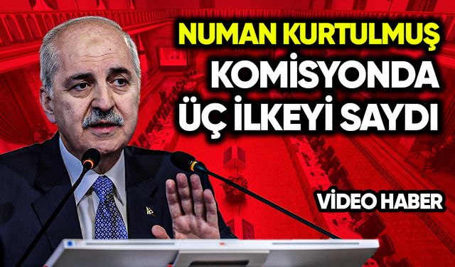Numan Kurtulmuş komisyonda üç ilkeyi saydı