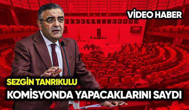 Sezgin Tanrıkulu komisyonda yapacaklarını anlattı